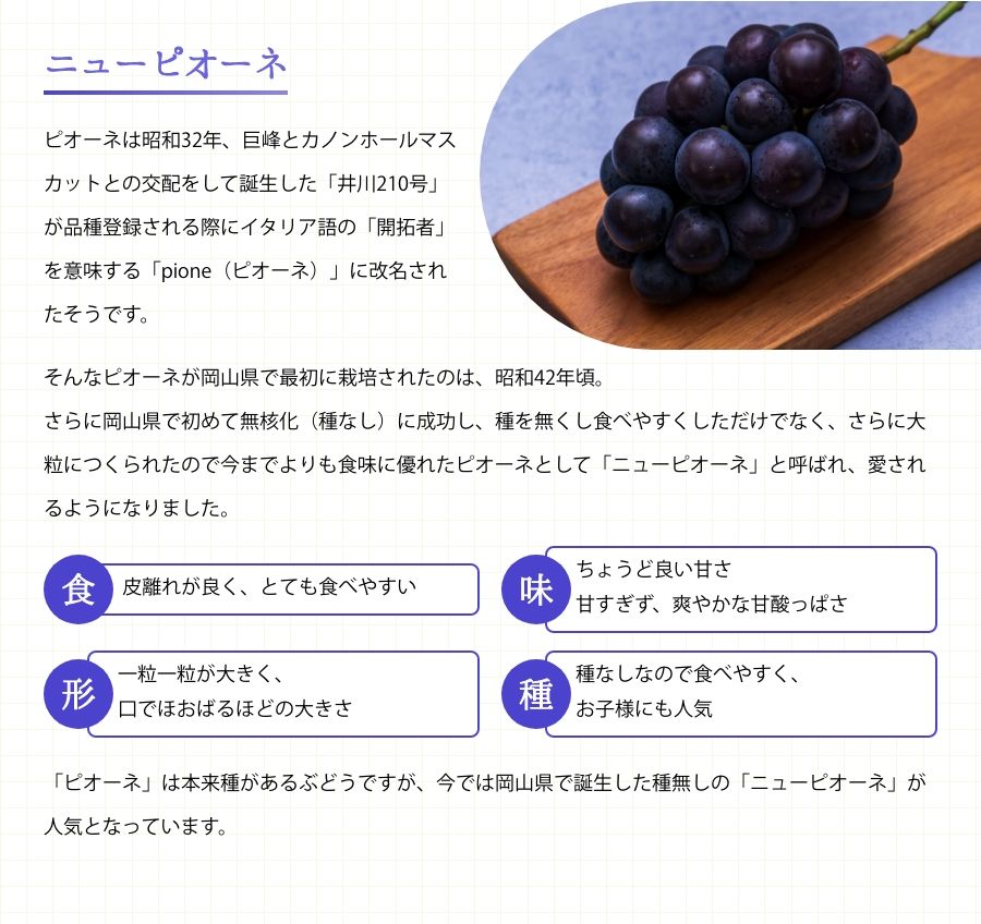 ニューピオーネ