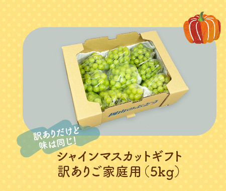 シャインマスカットギフト訳ありご家庭用（5kg）