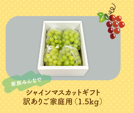 シャインマスカットギフト訳ありご家庭用（1.5kg）