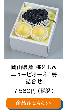 岡山県産 桃２玉＆ﾆｭｰﾋﾟｵｰﾈ１房詰合せ