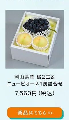 岡山県産 桃２玉＆ﾆｭｰﾋﾟｵｰﾈ１房詰合せ
