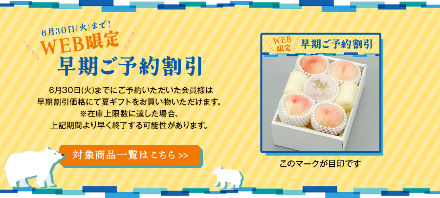 Web限定早期割引商品