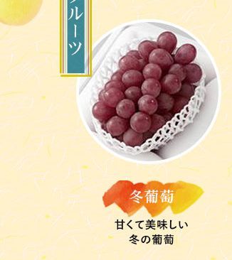 冬葡萄