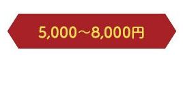 5,000円～8,000円