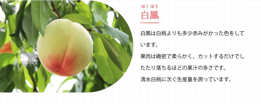 白鳳