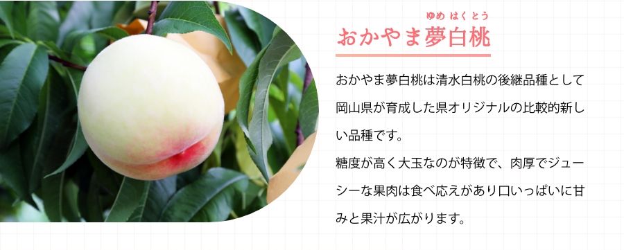 おかやま夢白桃