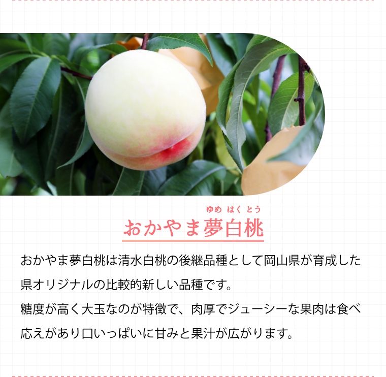 晴れの国おかやまで大切に育てられた美味しい白桃を♪