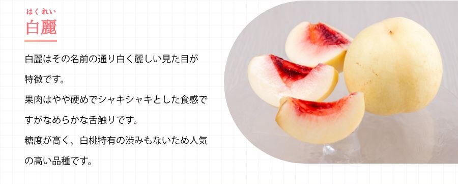 白麗