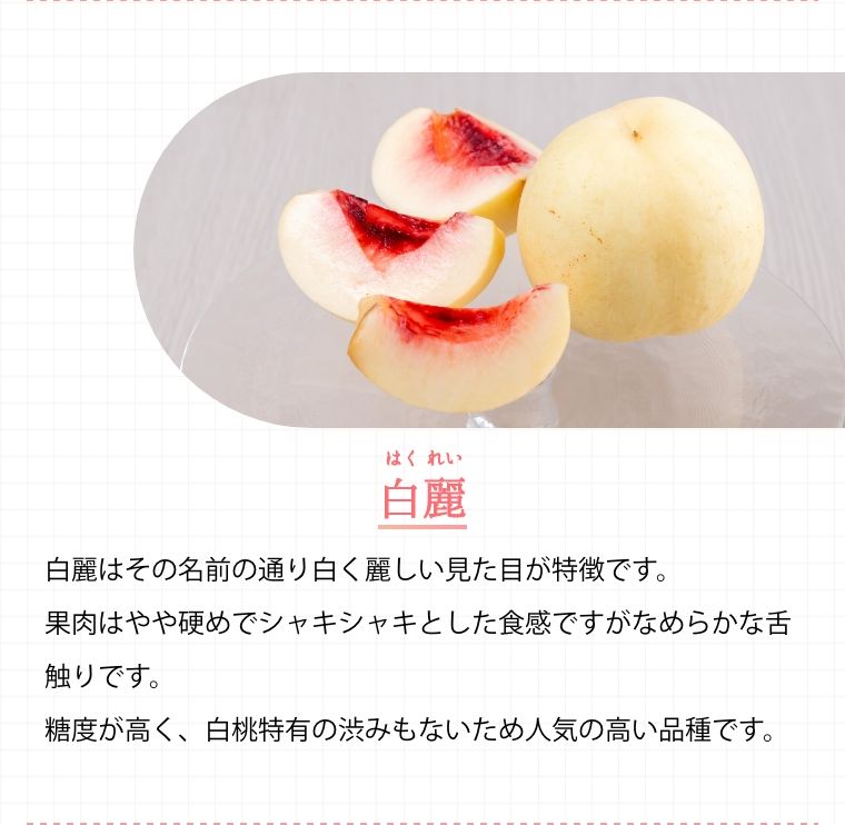 晴れの国おかやまで大切に育てられた美味しい白桃を♪