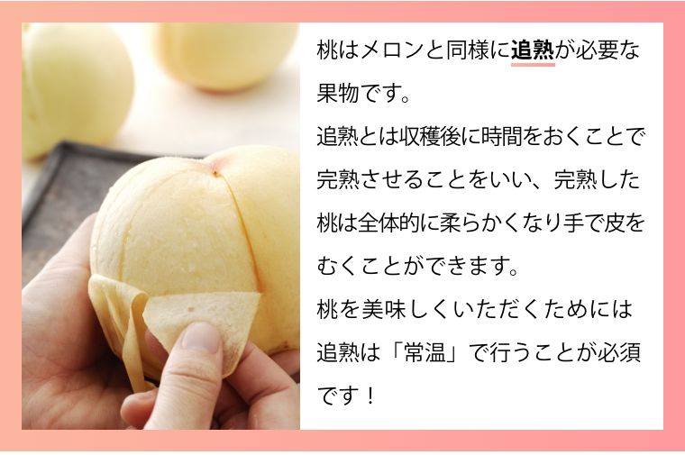 晴れの国おかやまで大切に育てられた美味しい白桃を♪