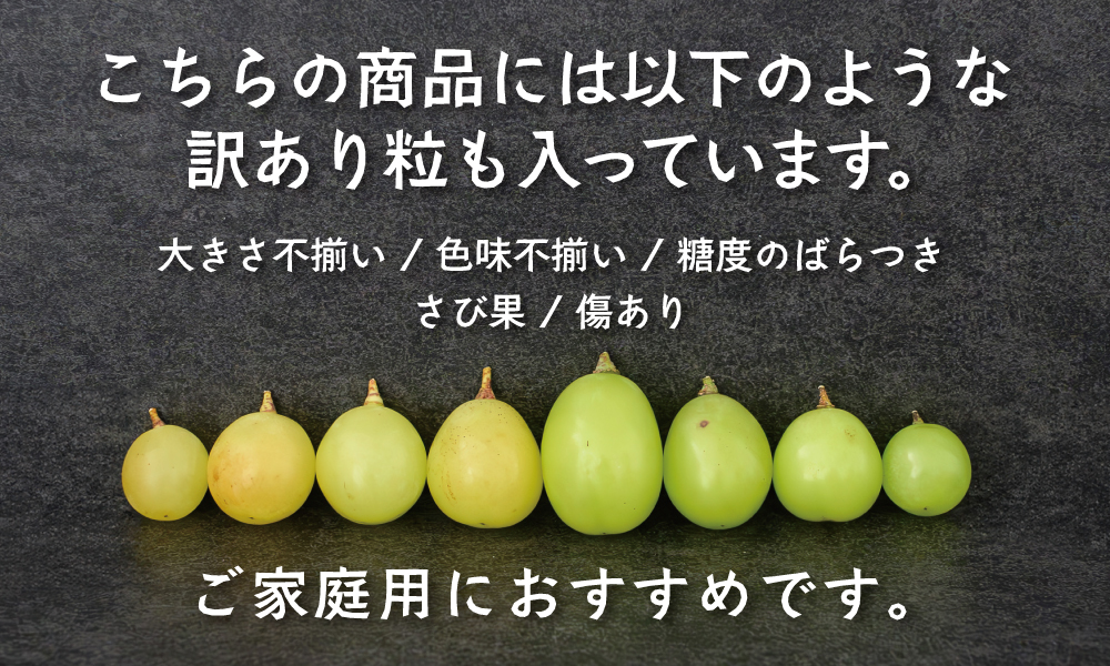 【めっちゃ変わる】 送料込み】ご家庭用訳アリ 岡山県産シャインマスカット粒1.0kg 果物