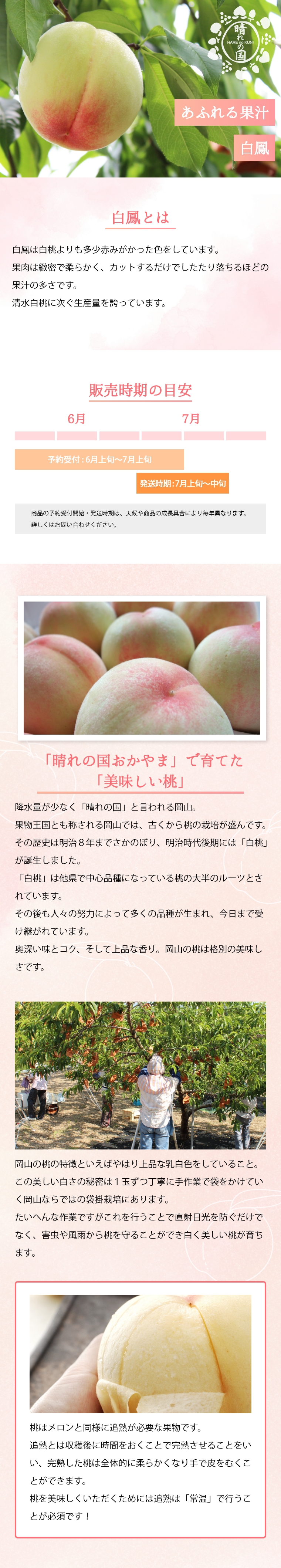 AHH-3】 岡山県産 白鳳 3玉 【7月上旬～】 | うまいな岡山