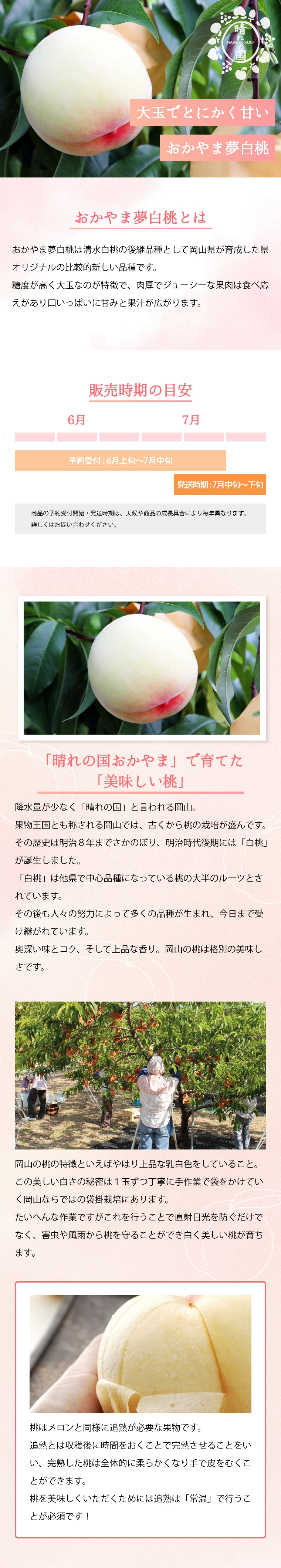 おかやま夢白桃【7月下旬頃～】 | うまいな岡山