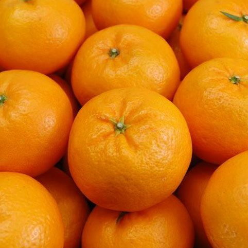 もりの農園産はれひめ