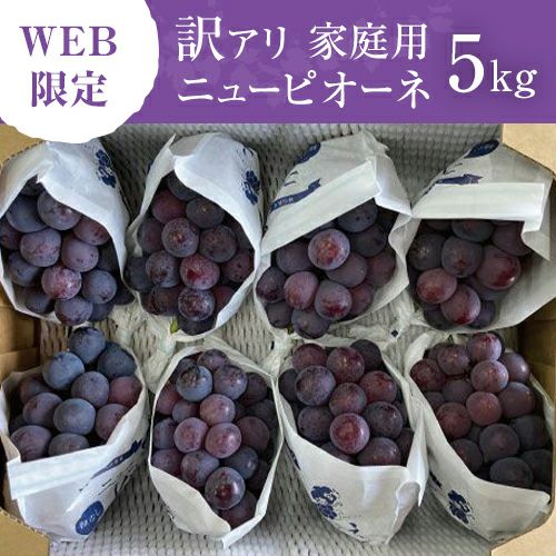 岡山県産 ニューピオーネ（5㌔）‼️ ふさわしかっ