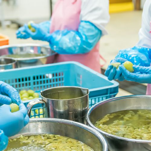 岡山県産果実のジュレ