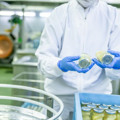 岡山県産果実のジュレ