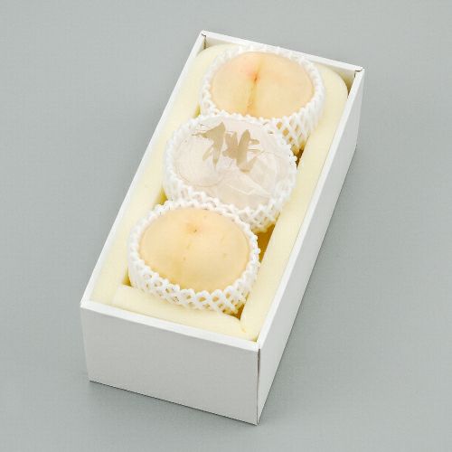 あやたん様専用 おかやま夢白桃 おかやま夢白桃｜アリュール園芸