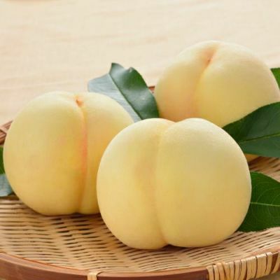 ASHD-3】 特選大玉 岡山県産清水白桃3玉 【7月中旬～】 | うまいな岡山