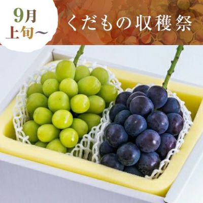 フルーツ詰め合わせ | うまいな岡山