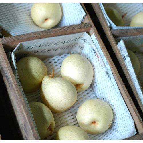 岡山県産鴨梨（ヤーリー）