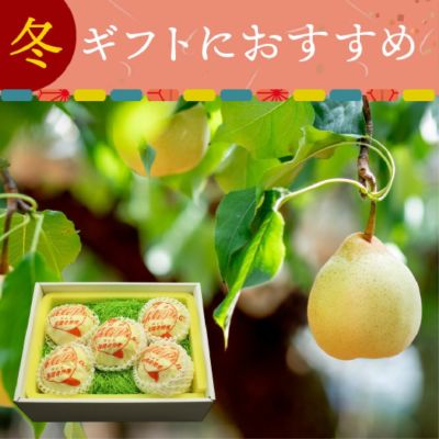 岡山県産ヤーリー