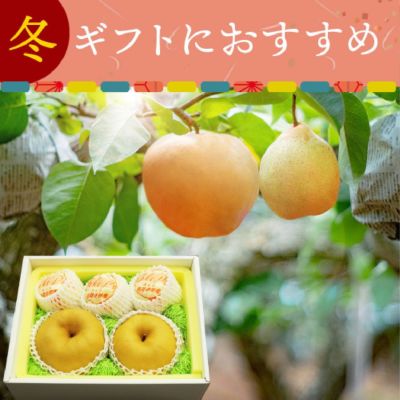 岡山県産あたご梨＆鴨梨