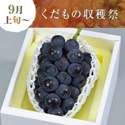 大量入荷の為、衝撃超お得価格！！岡山県産【ニューピオーネ】優品7房 5kg 岡山県産 ニューピオーネの産地直送通販｜岡山フルーツ直送便