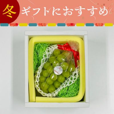 旬果蔵出しシャインマスカット