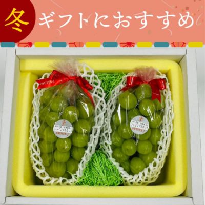 旬果蔵出しシャインマスカット