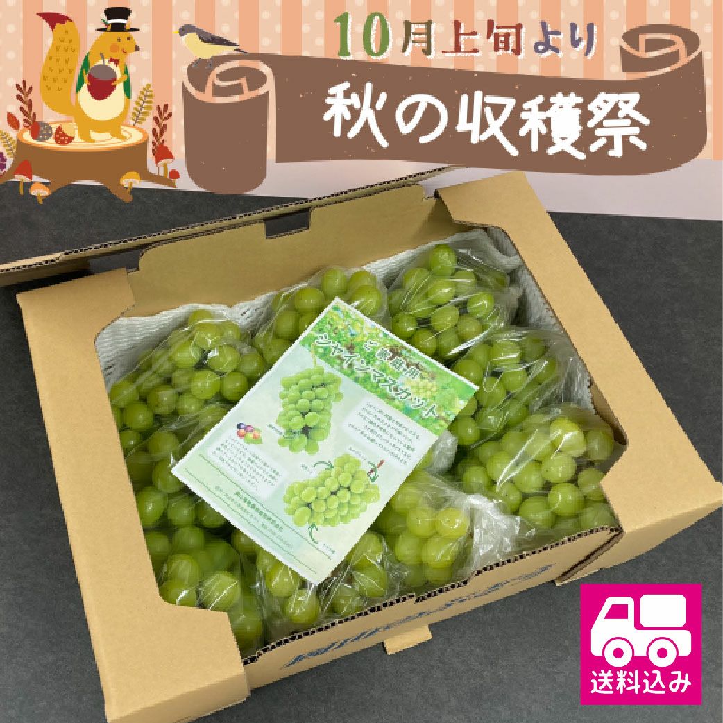 訳ありシャインマスカット　送料無料