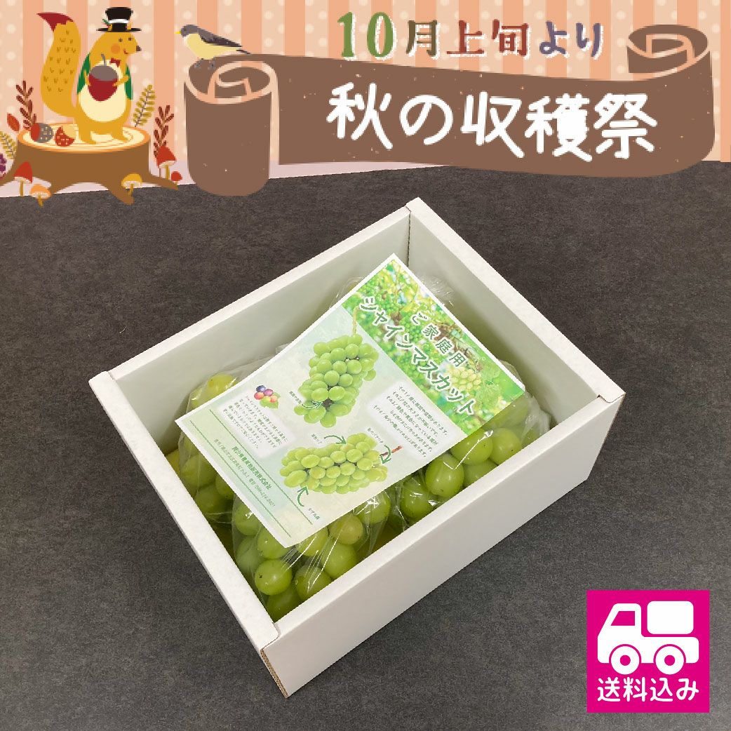 訳ありシャインマスカット　送料込み