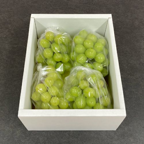 訳ありシャインマスカット