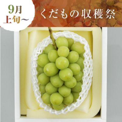 晴れの国おかやまのシャインマスカット