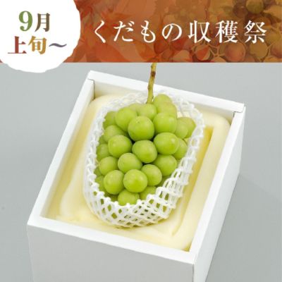 晴れの国おかやまのシャインマスカット