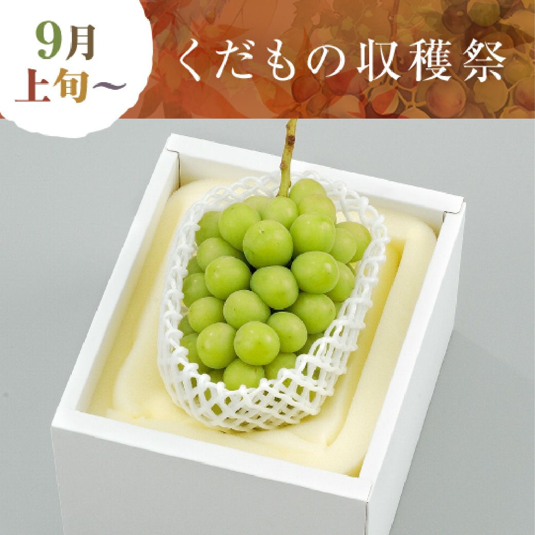 晴れの国おかやまのシャインマスカット