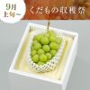晴れの国おかやまのシャインマスカット