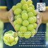 晴れの国おかやまのシャインマスカット