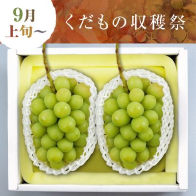 晴れの国おかやまのシャインマスカット