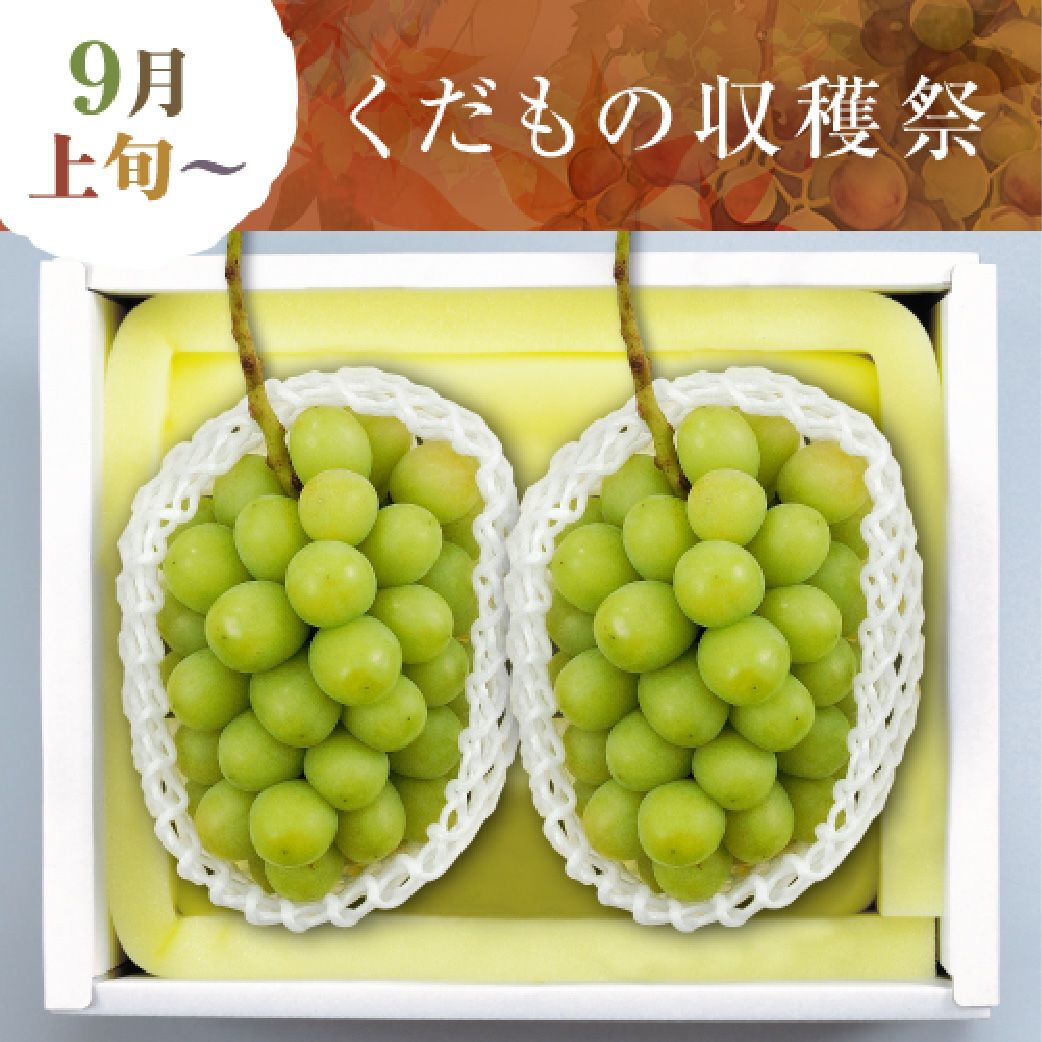 晴れの国おかやまのシャインマスカット