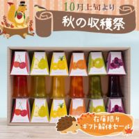 ギフト解体セール　フルーツゼリー